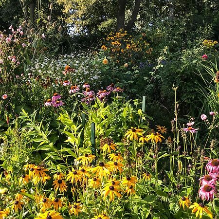 Gartenhaus Frieda Galmsbull ภายนอก รูปภาพ