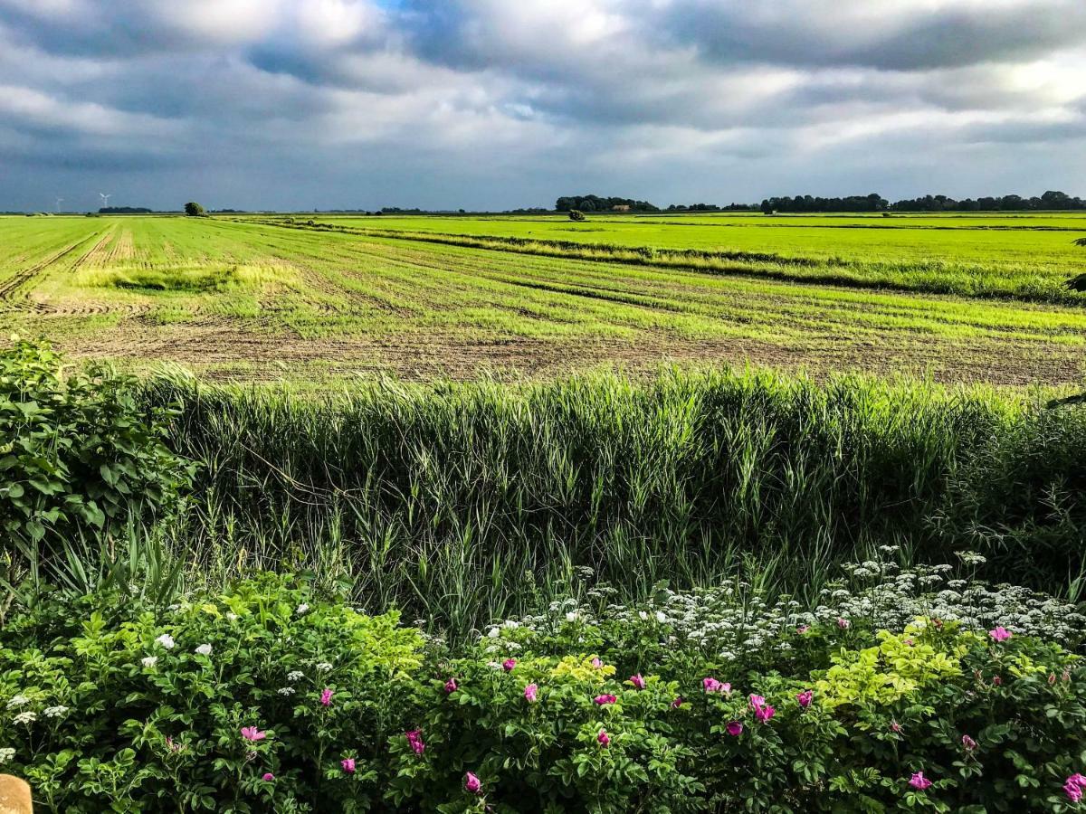 Gartenhaus Frieda Galmsbull ภายนอก รูปภาพ