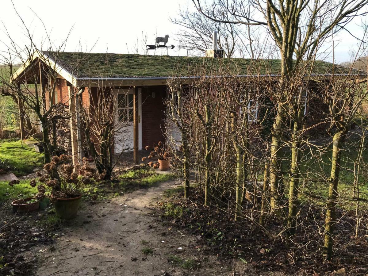 Gartenhaus Frieda Galmsbull ภายนอก รูปภาพ