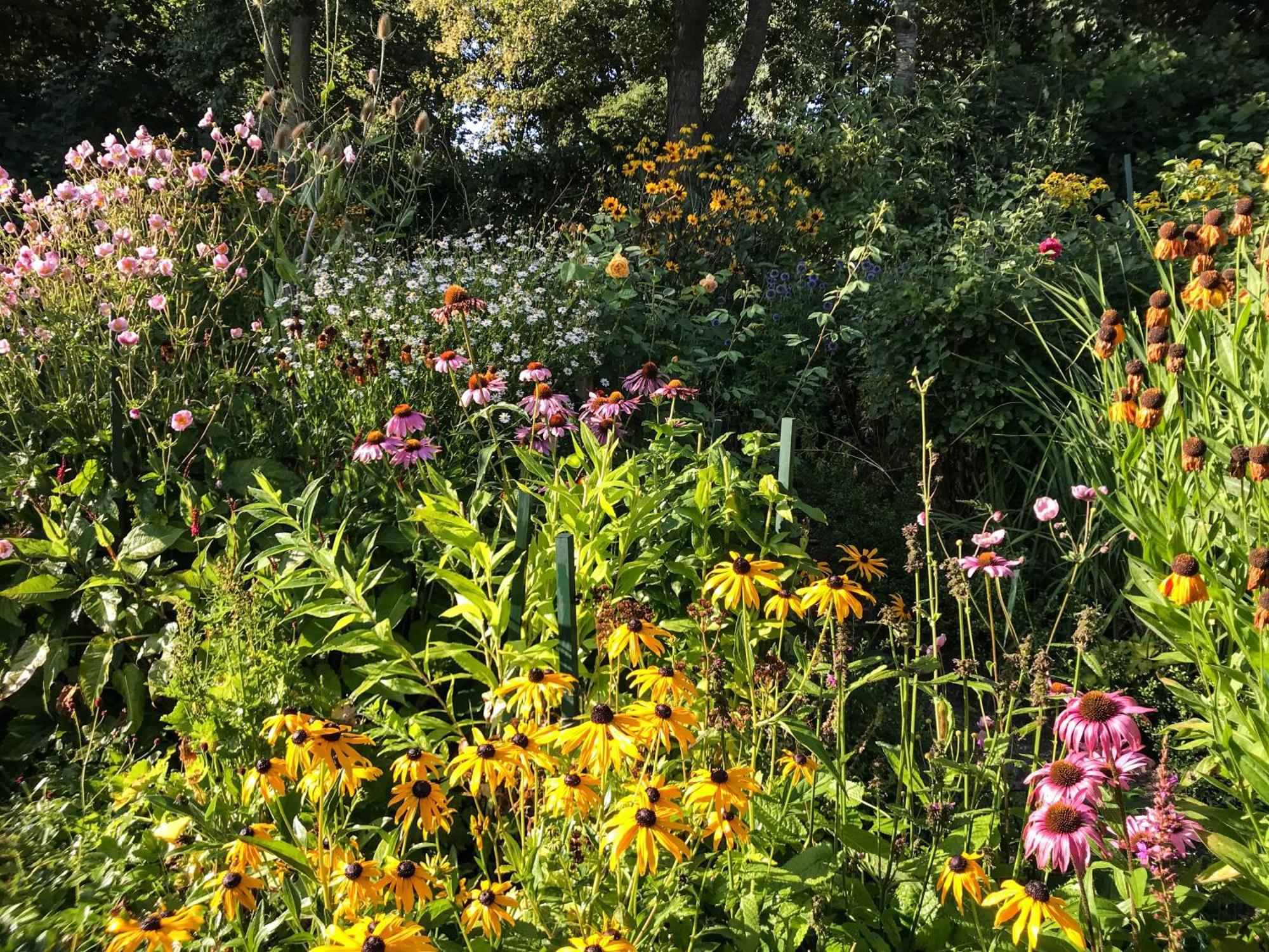 Gartenhaus Frieda Galmsbull ภายนอก รูปภาพ