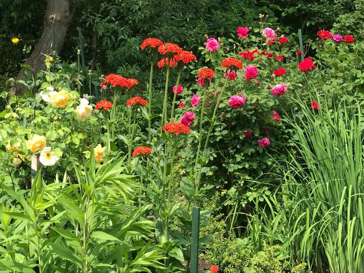 Gartenhaus Frieda Galmsbull ภายนอก รูปภาพ