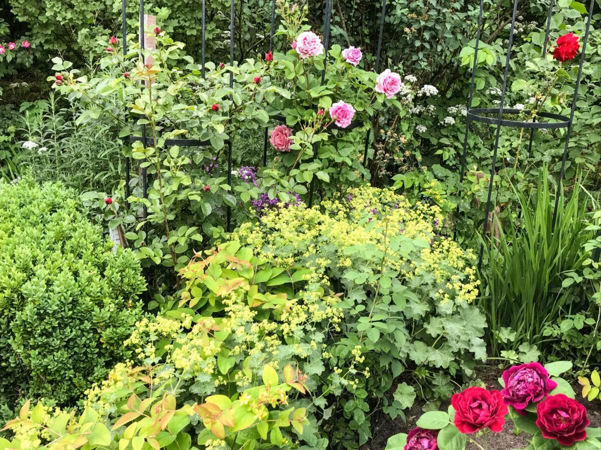 Gartenhaus Frieda Galmsbull ภายนอก รูปภาพ